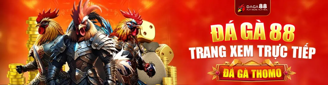 Đá gà trực tuyến kịch tính tại nohu 90 app